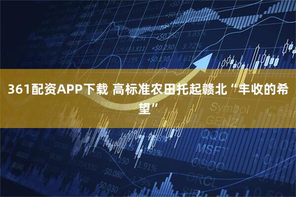 361配资APP下载 高标准农田托起赣北“丰收的希望”